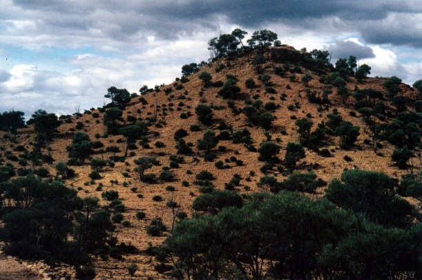 05-23-2000 Lark Quarry hill.jpg