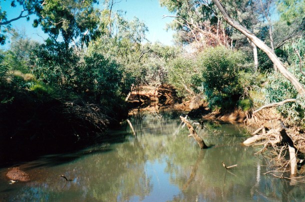 05-28-2000 sandy ck waterhole.jpg