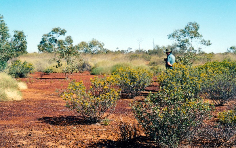 06-01-2000 divining fault.jpg