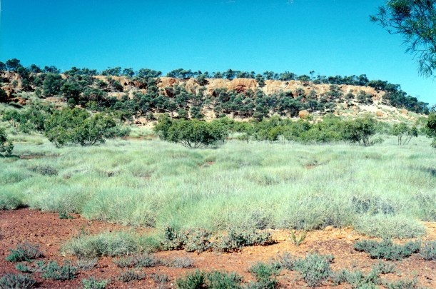 06-02-2000 old mine area sth of Moyne R