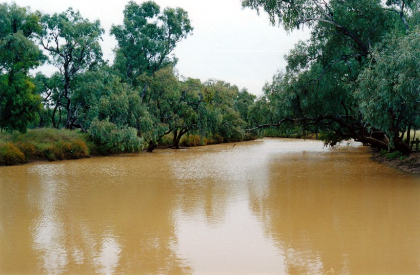 06-06-2000 combo waterhole.jpg