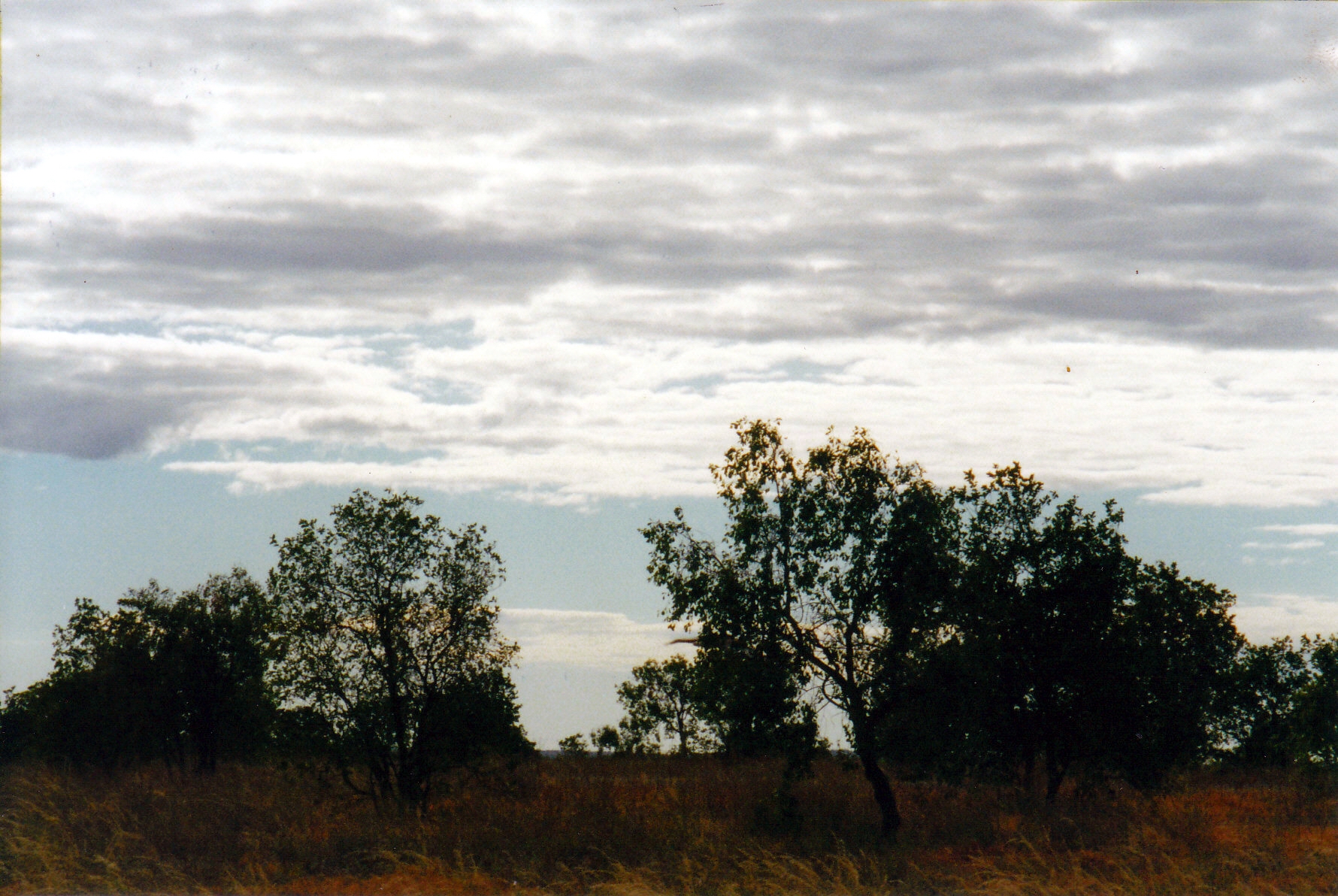 06-20-2000 late pm top springs