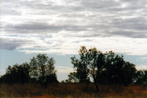 06-20-2000 late pm top springs