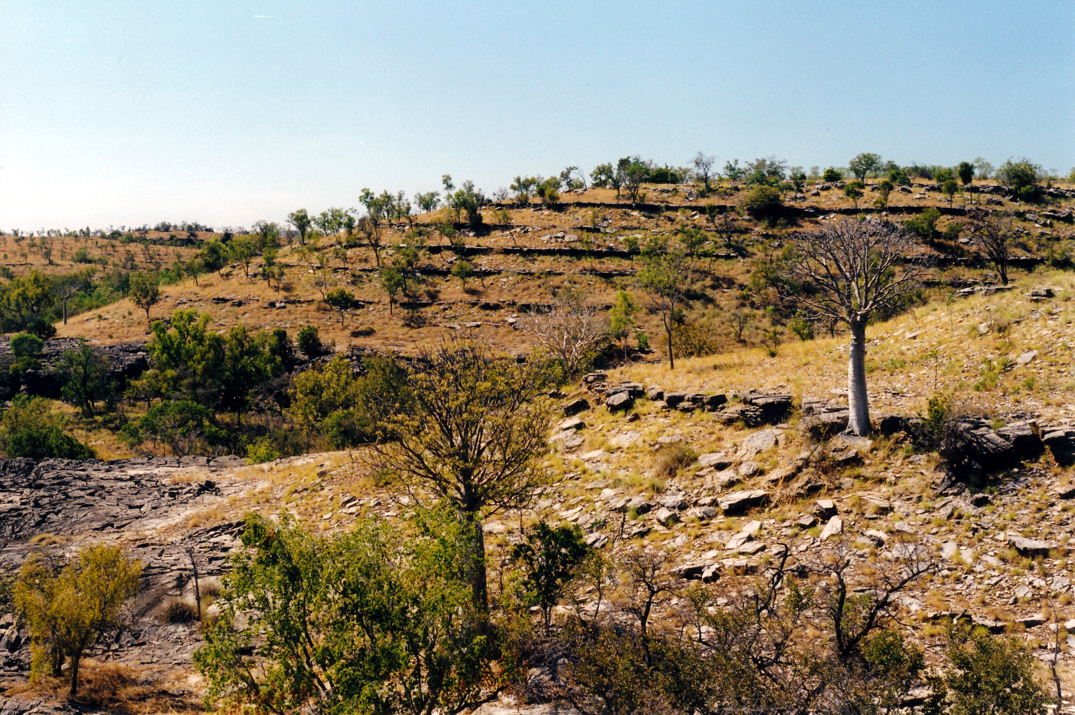 06-22-2000 01 limestone gorge