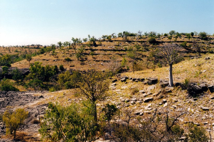 06-22-2000 01 limestone gorge