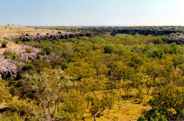 06-22-2000 03 Limestone Gorge Gregory NP