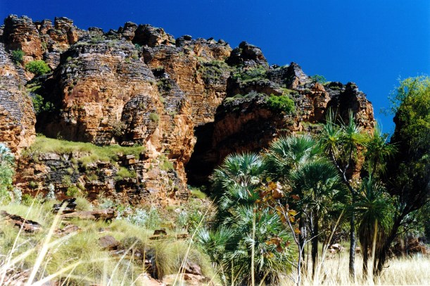 06-24-2000 07 nigli tk