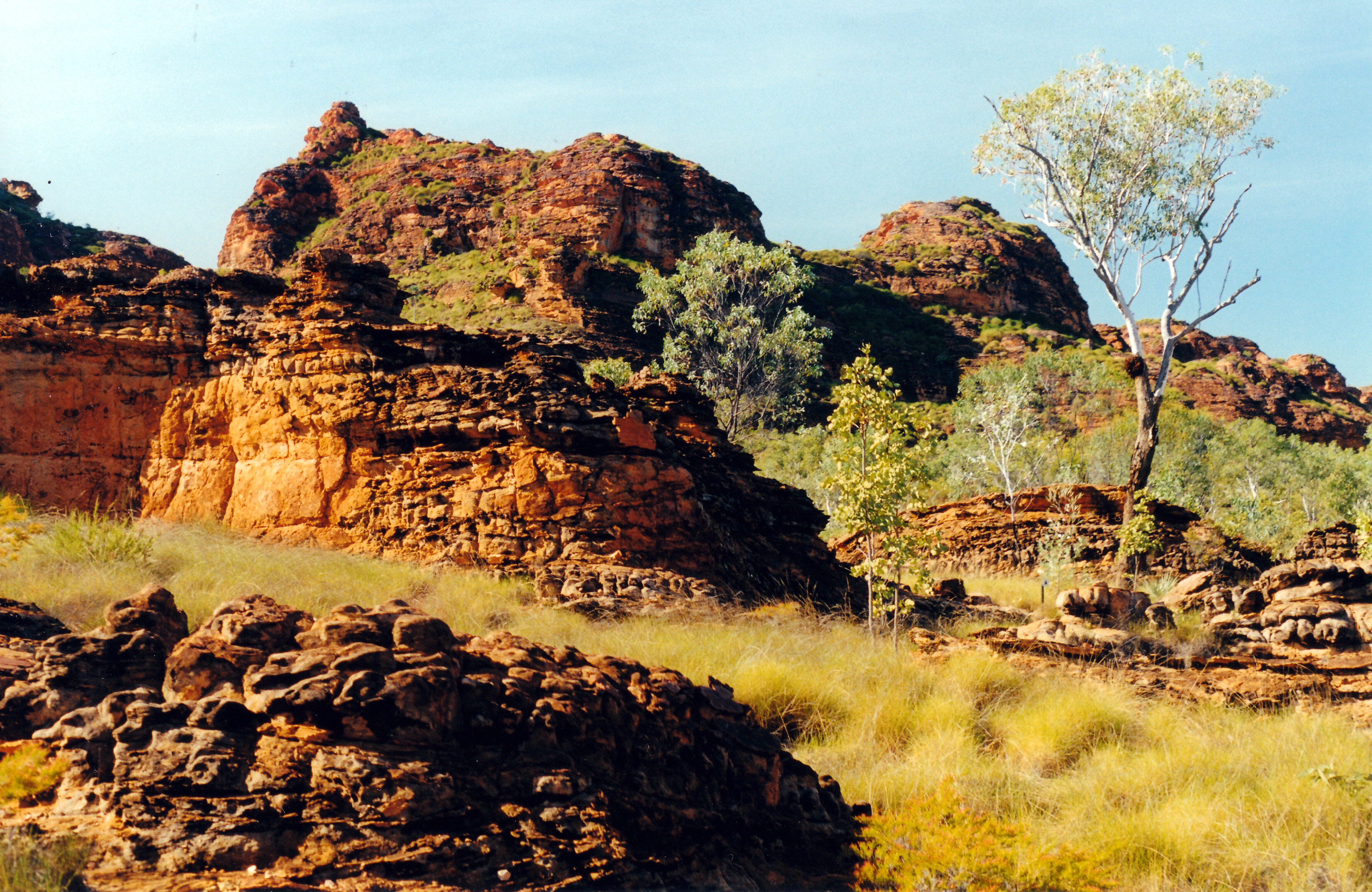 06-26-2000 03 more walk from Keep River campground.jpg