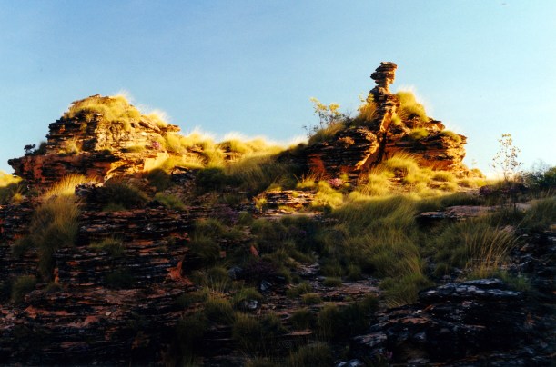 07-07-2000 head lice dreaming.jpg