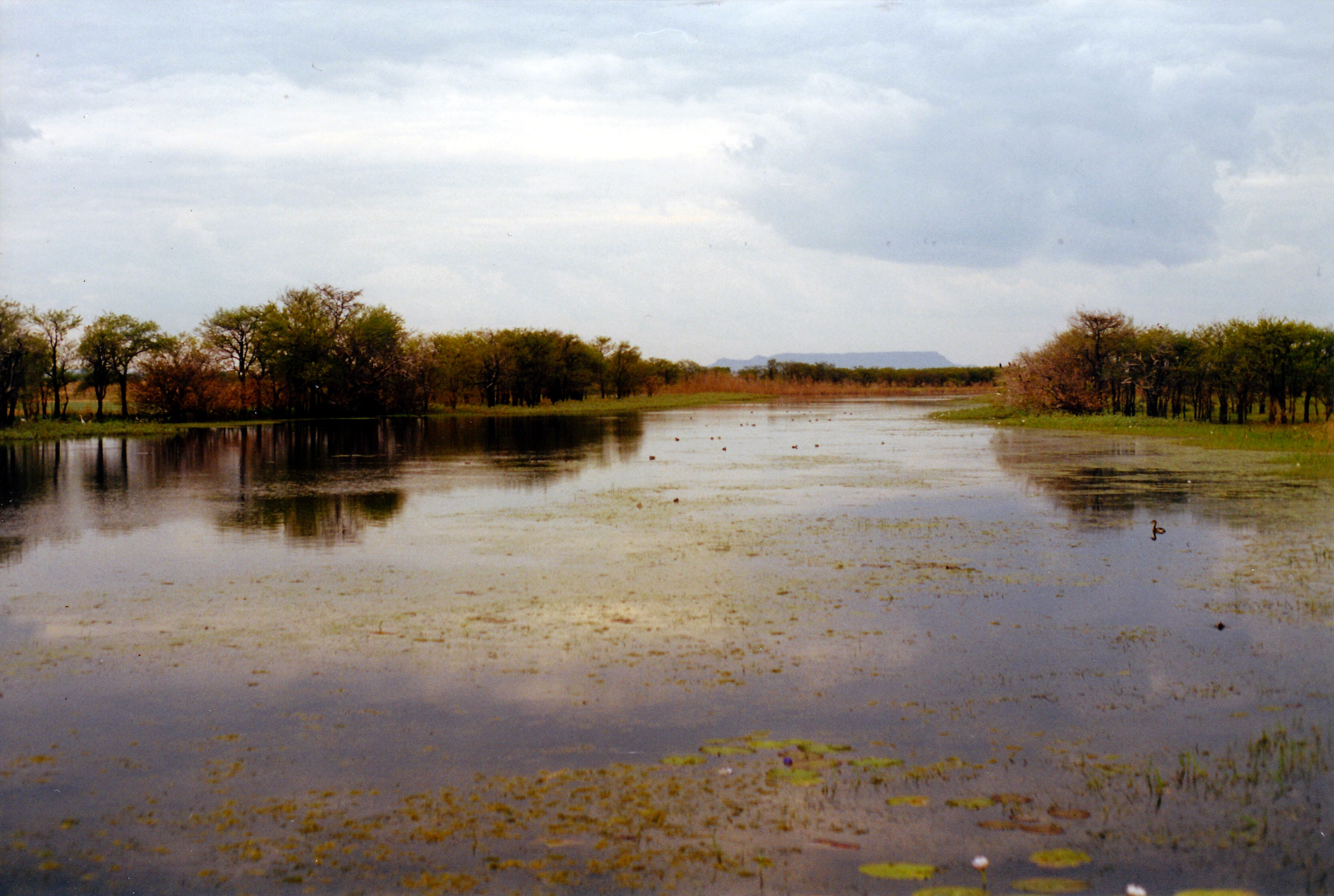 07-12-2000 Parrys Lagoon vista.jpg