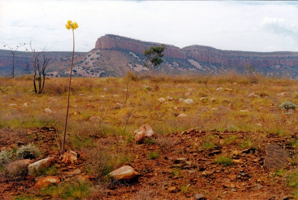 07-14-2000 02 Cockburn Range from GRR