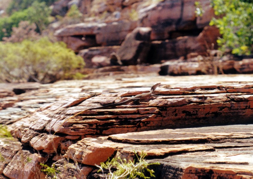 07-15-2000 02 water monitor