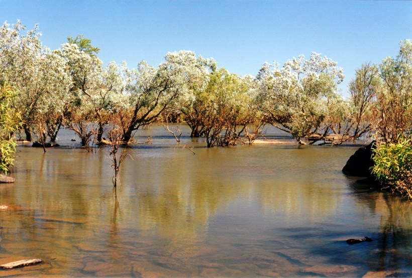 07-16-2000 03 Durack River light.jpg