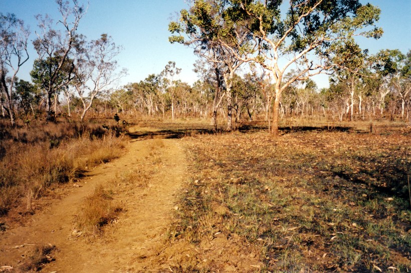 07-18-2000 03 track to Turtle Pool camp.jpg