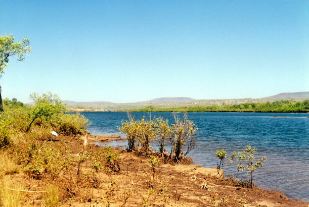 07-25-2000 Longini Landing brolga.jpg