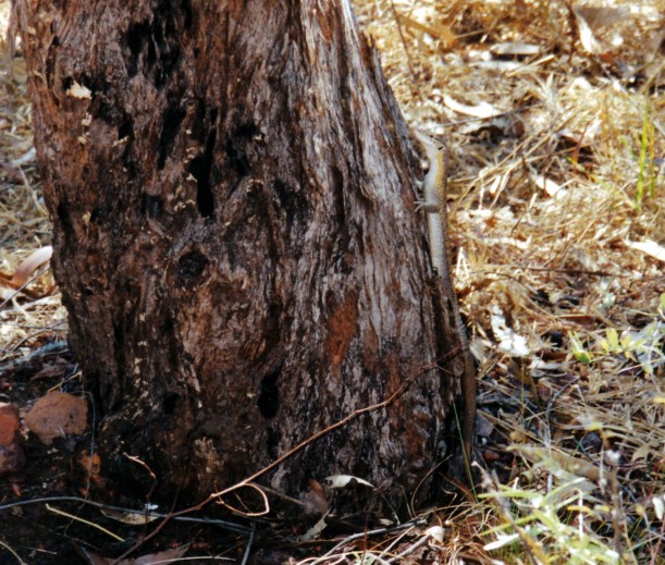 07-30-2000 going back up.jpg