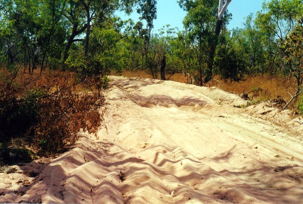 08-01-2000 sandy track.jpg