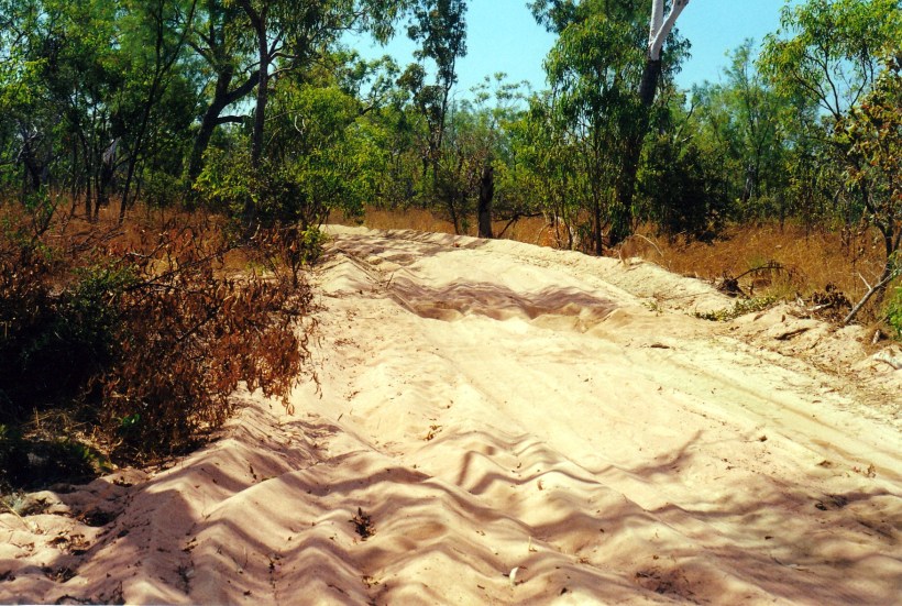 08-01-2000 sandy track.jpg
