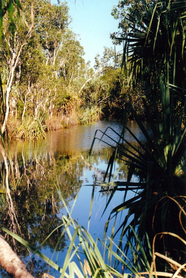 08-02-2000 pago creek waterhole.jpg