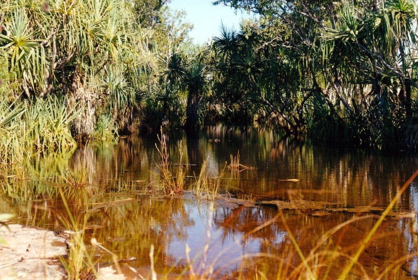 08-02-2000 pago creek