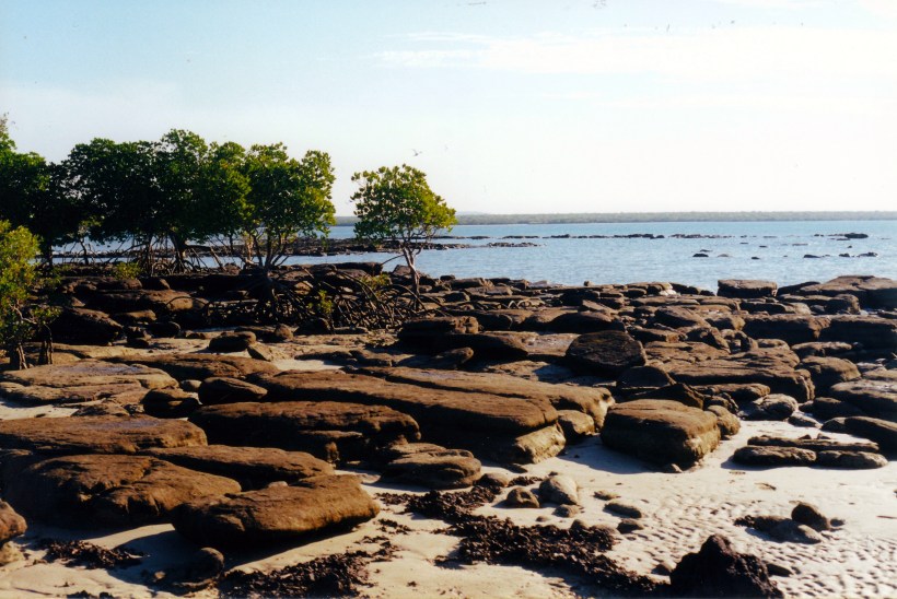 08-02-2000 Pago Mission Beach and mangroves.jpg