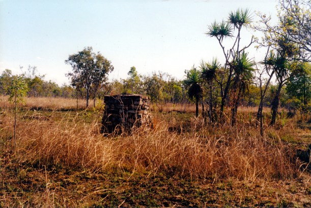 08-02-2000 remnant Pago ruins.jpg