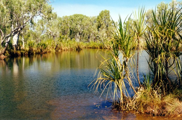08-05-2000 02 King Edward River.jpg