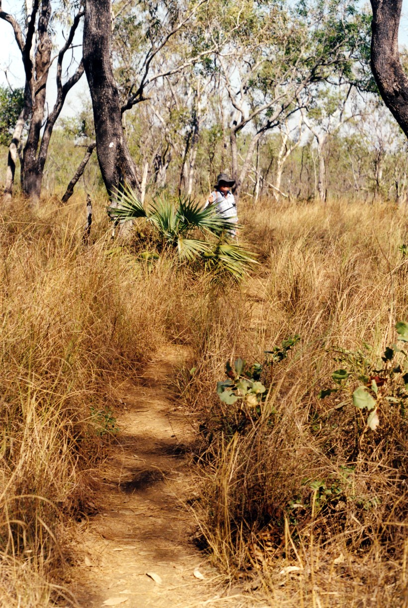 08-06-2000 07 mitchell falls tk.jpg
