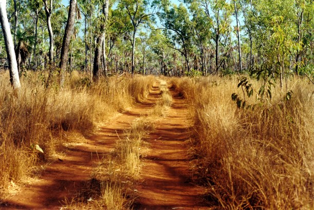 08-07-2000 01 mitchell plateau tk.jpg