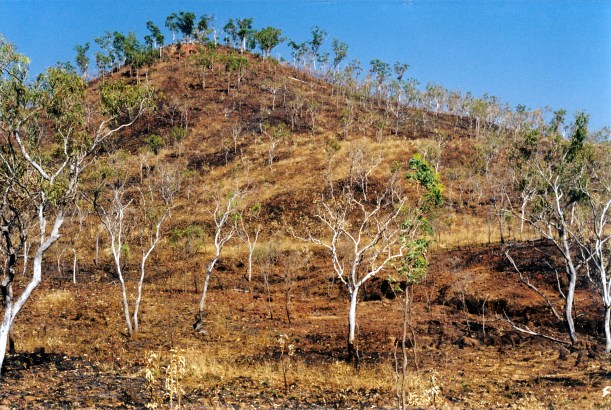 08-07-2000 03 burnt country near Surveyors Pool
