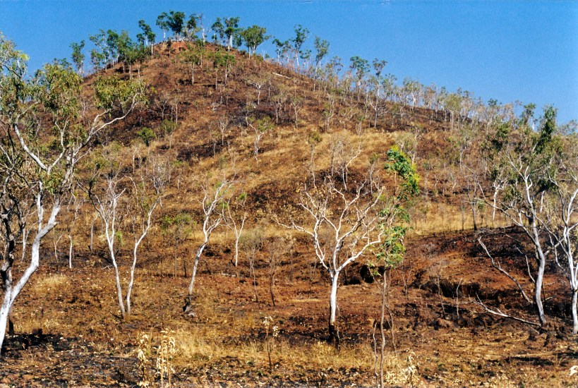 08-07-2000 03 burnt country near Surveyors Pool