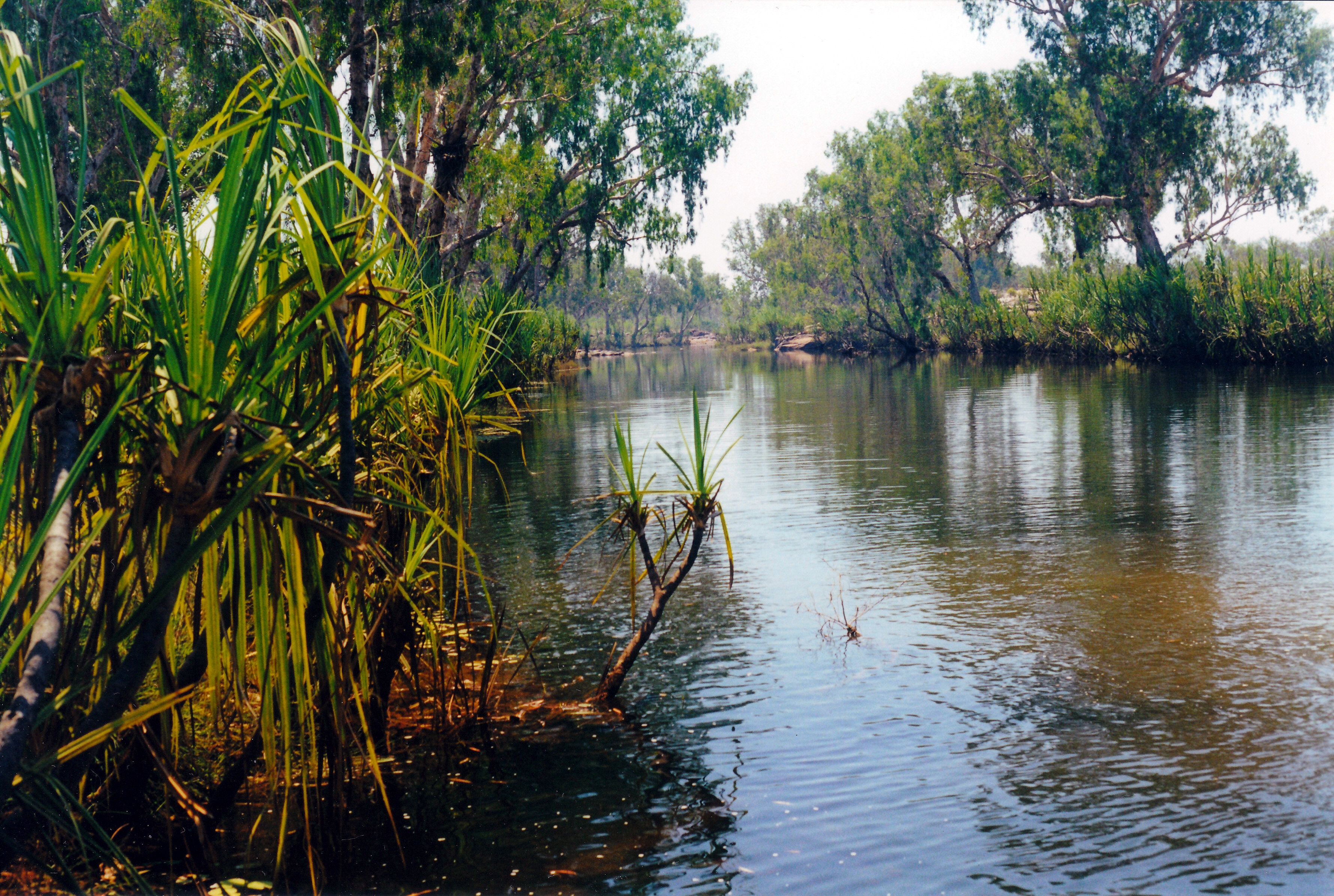 08-09-2000 01 King Edward River view.jpg