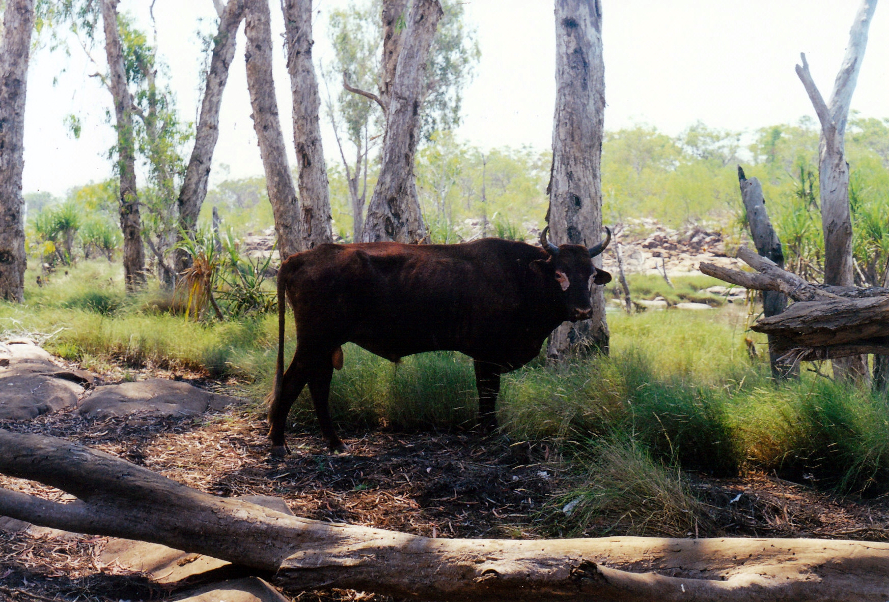 08-09-2000 met by track.jpg