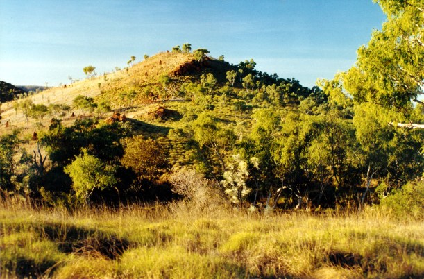 08-16-2000 07 hillside Old Halls Ck.jpg