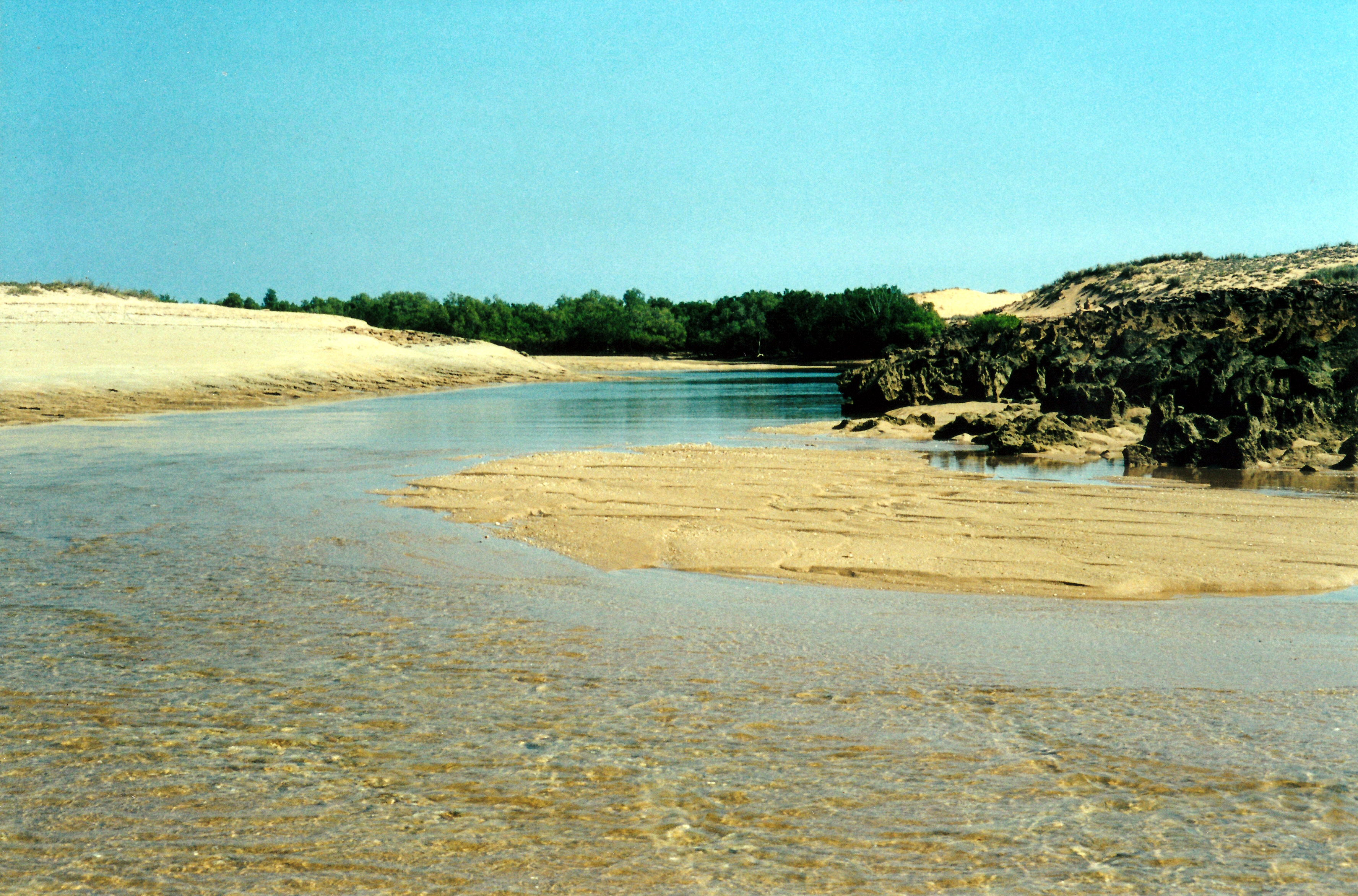 08-28-2000 09 creek mouth Middle Lagoon.jpg