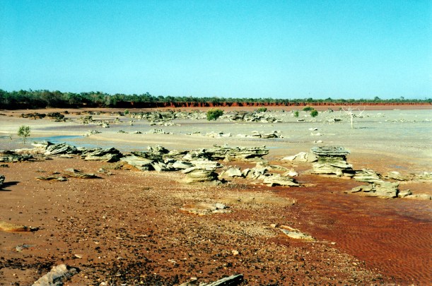 08-30-2000 broome bird observatory