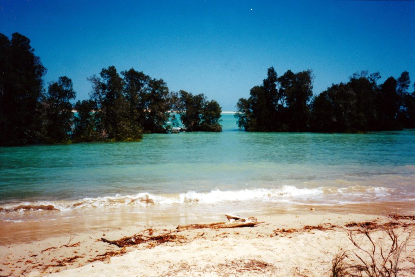 08-31-2000 willie creek.jpg