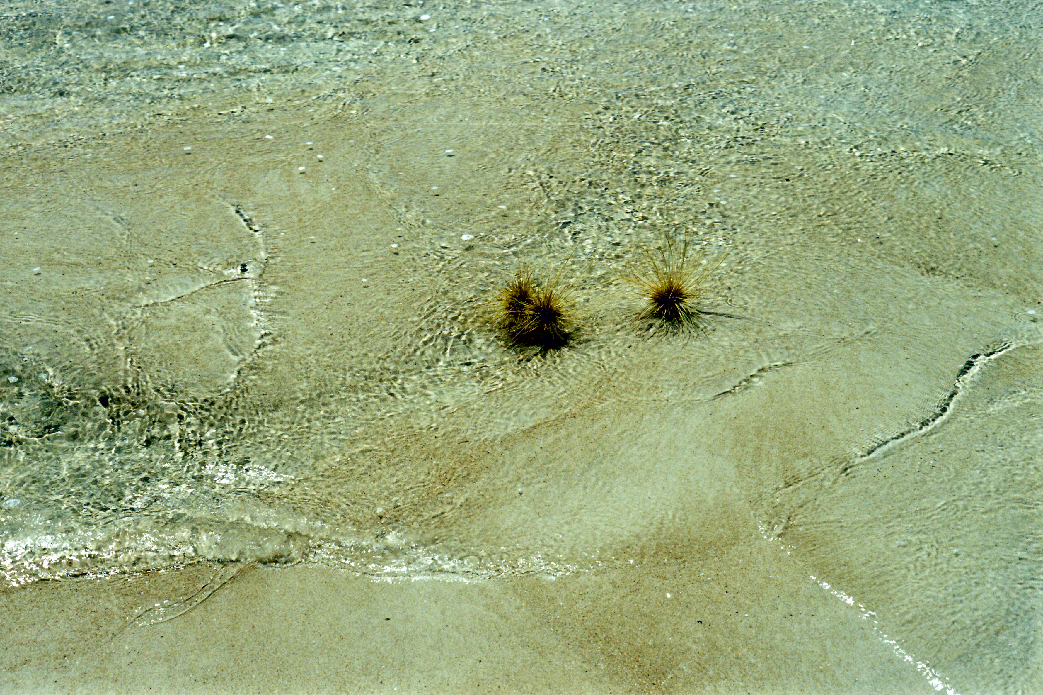 09-07-2000 beach art.jpg