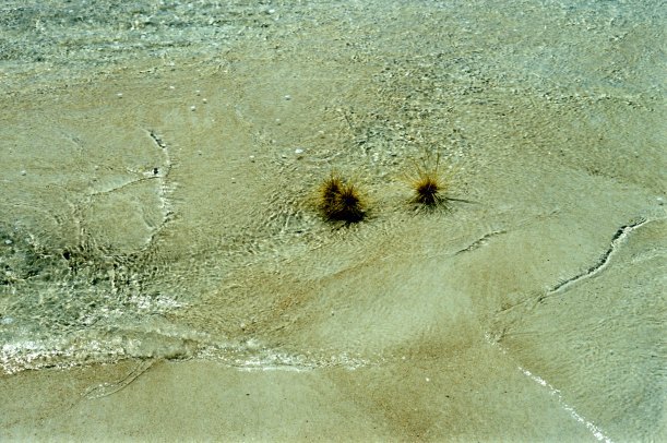 09-07-2000 beach art.jpg