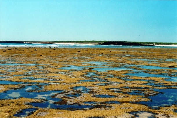 09-07-2000 reef view