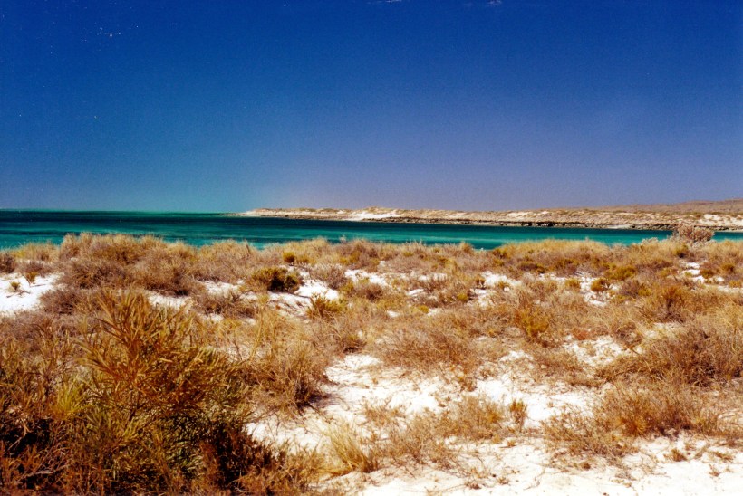 10-18-2000 NW Cape scene