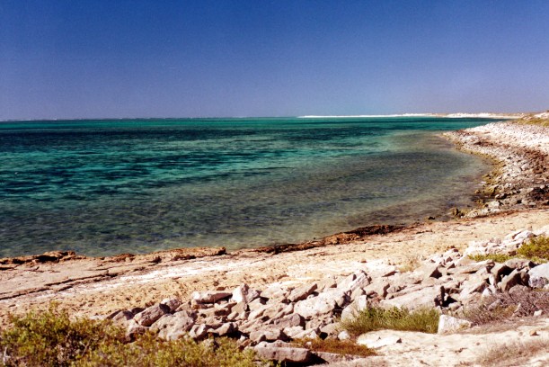 10-19-2000 ningaloo bay.jpg