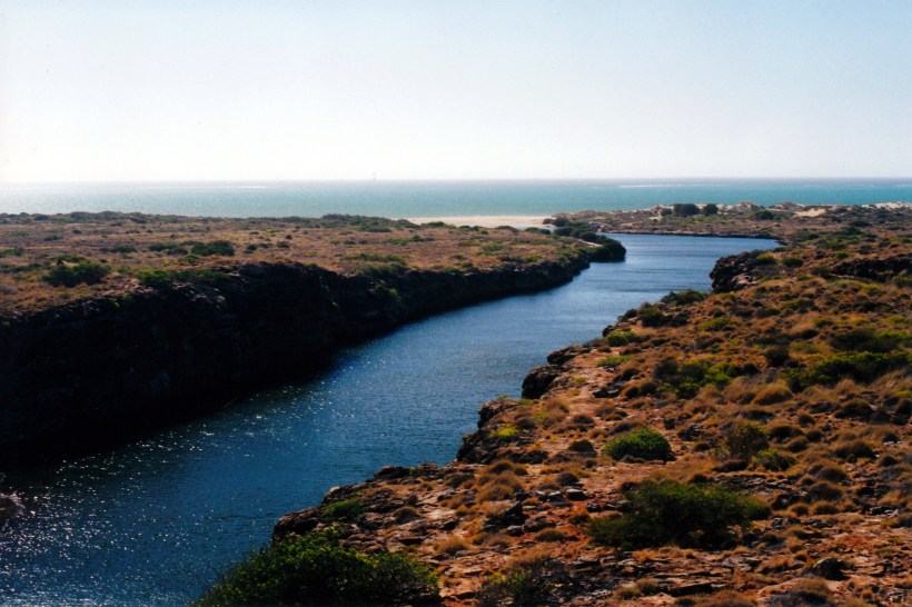 10-24-2000 yardie ck.jpg