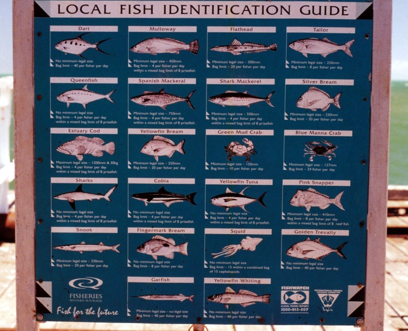 11-03-2000 sign One Mile Jetty.jpg