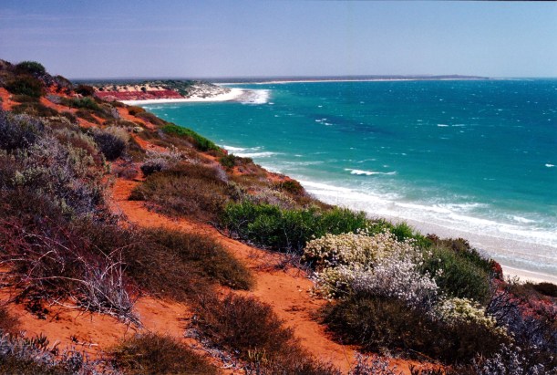 11-05-2000 02 bottle bay.jpg