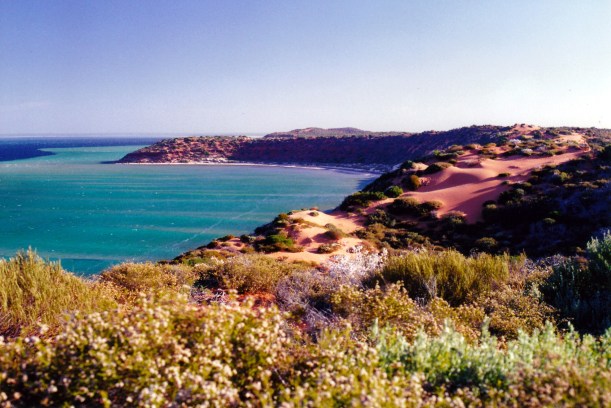 11-05-2000 08 at cape peron.jpg