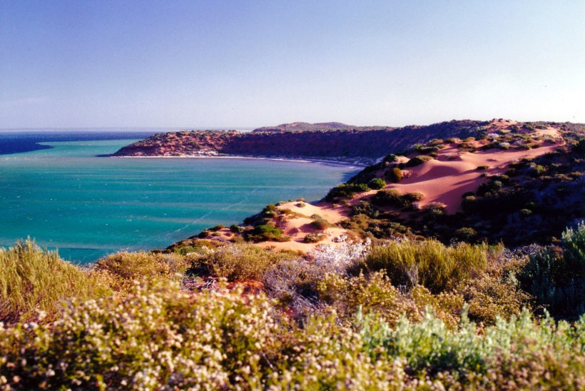 11-05-2000 08 at cape peron.jpg