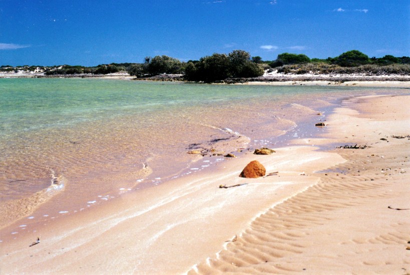 11-06-2000 02 Big Lagoon beach & rock.jpg