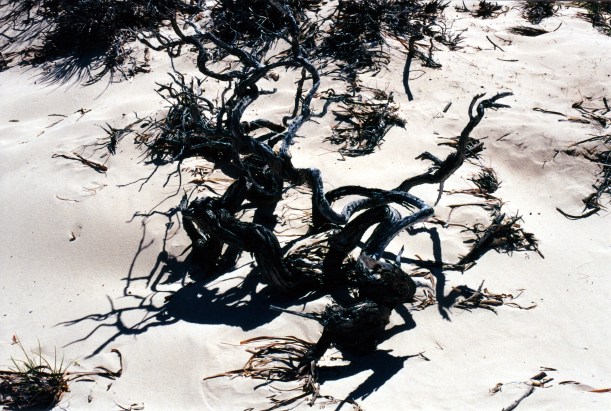 11-06-2000 05 composition.jpg