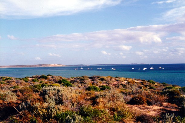 11-07-2000 03 boats Denham.jpg